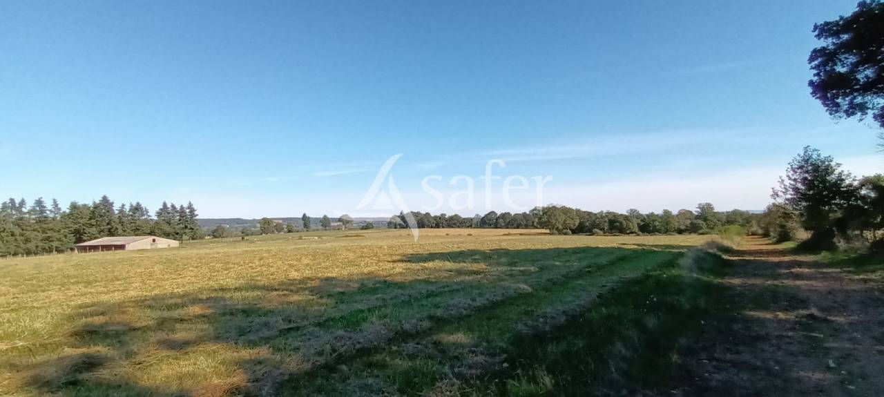 Bos exploitatie Koop Orne