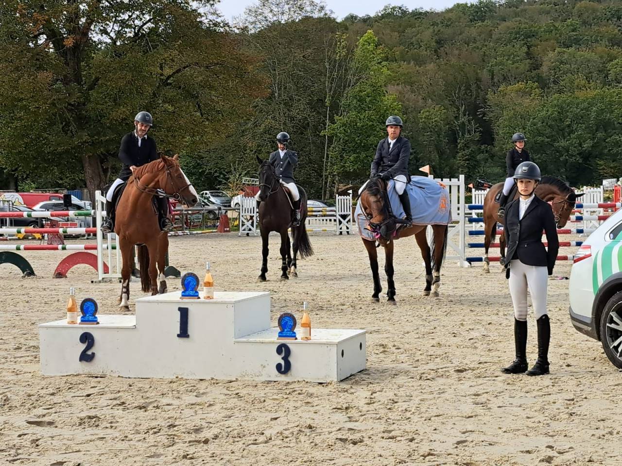 Ruin Selle Fran&ccedil;ais Te koop 2012 Donker bruin / bai ,  KANNAN