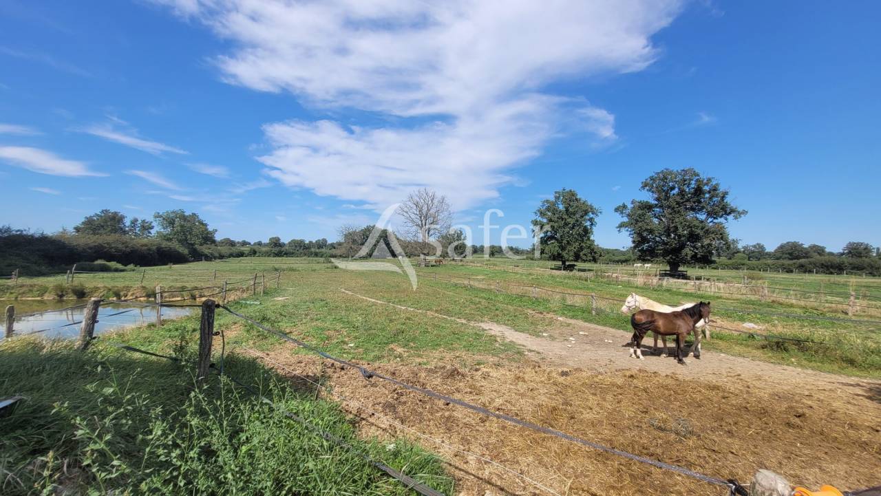 Hippisch vastgoed Koop Allier