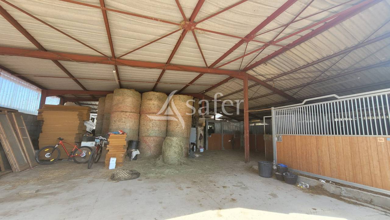 Hippisch vastgoed Koop Allier