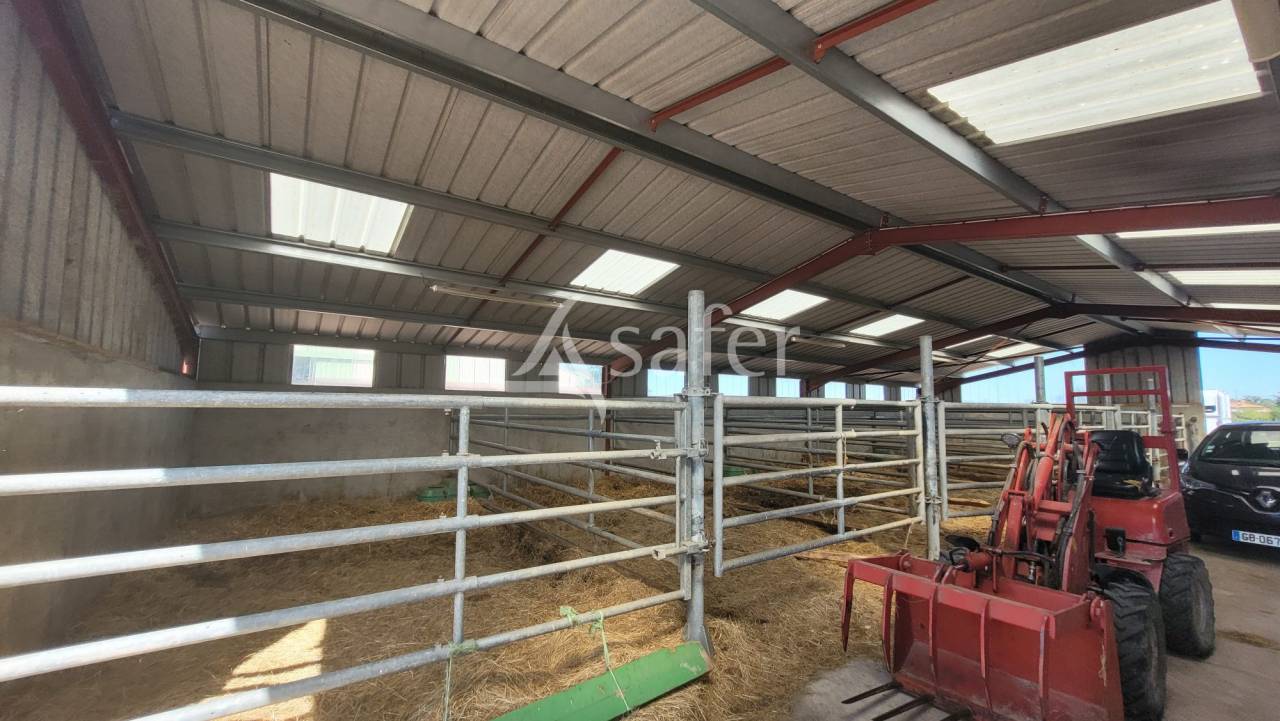 Hippisch vastgoed Koop Allier