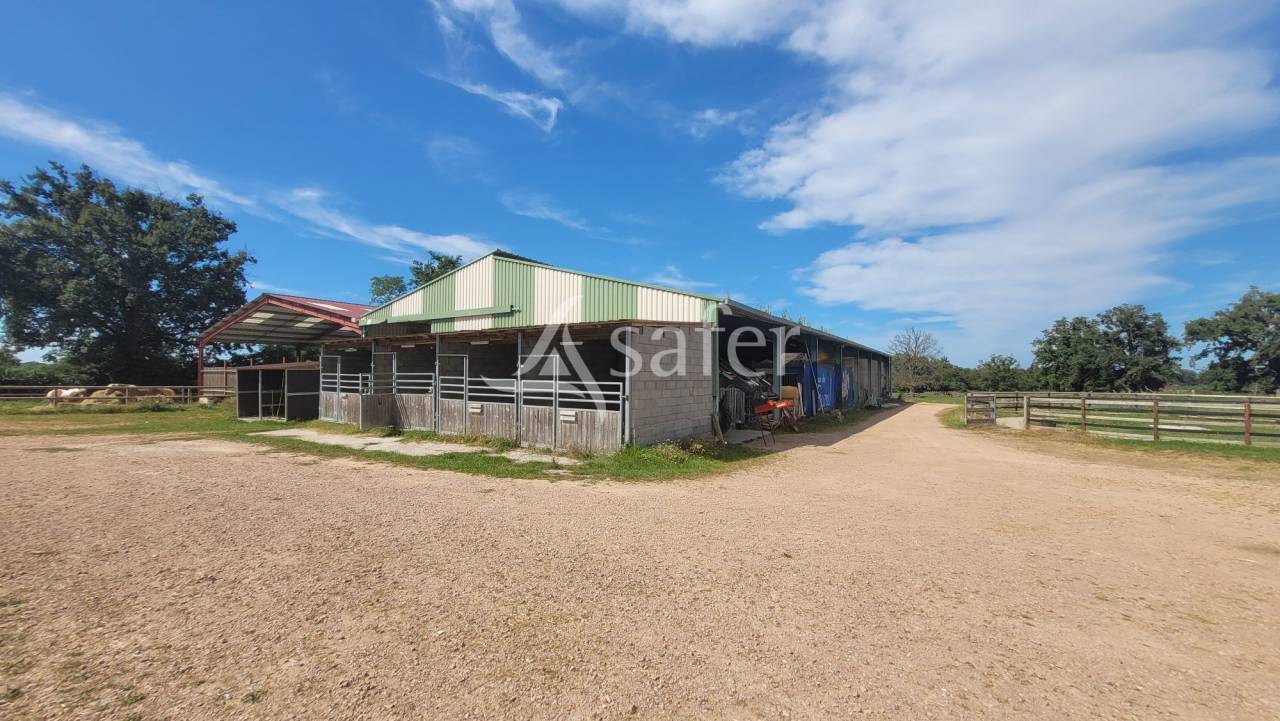 Hippisch vastgoed Koop Allier