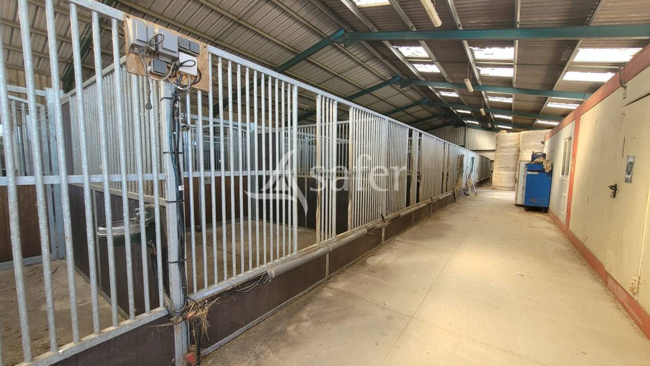 Hippisch vastgoed Koop Allier