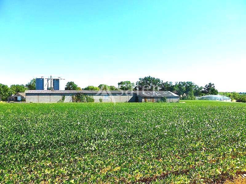 Graan exploitatie Koop Tarn-et-Garonne