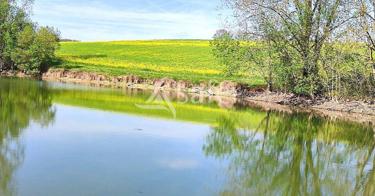 Graan exploitatie Koop Tarn-et-Garonne