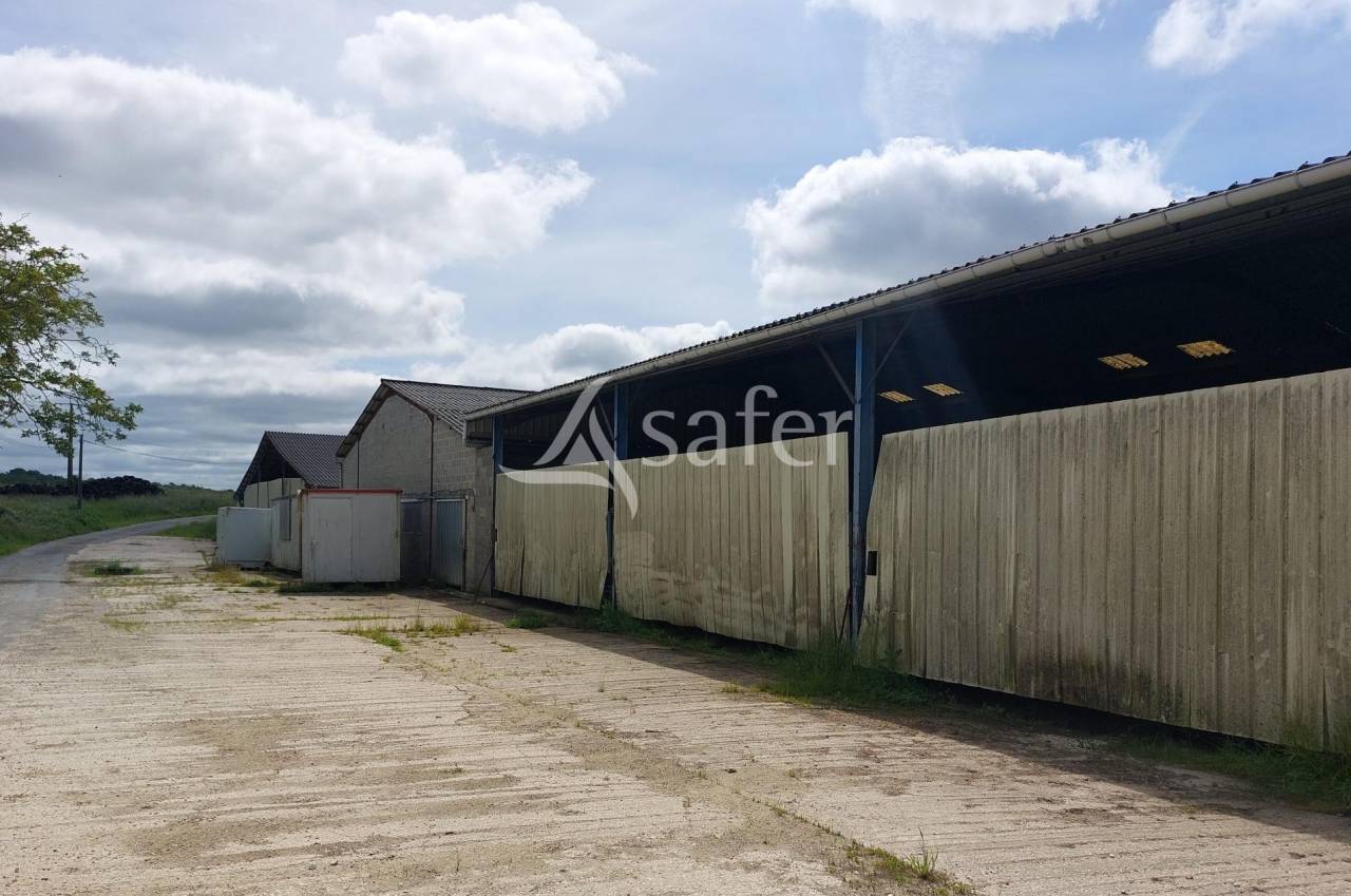 Schapen exploitatie Koop Dordogne