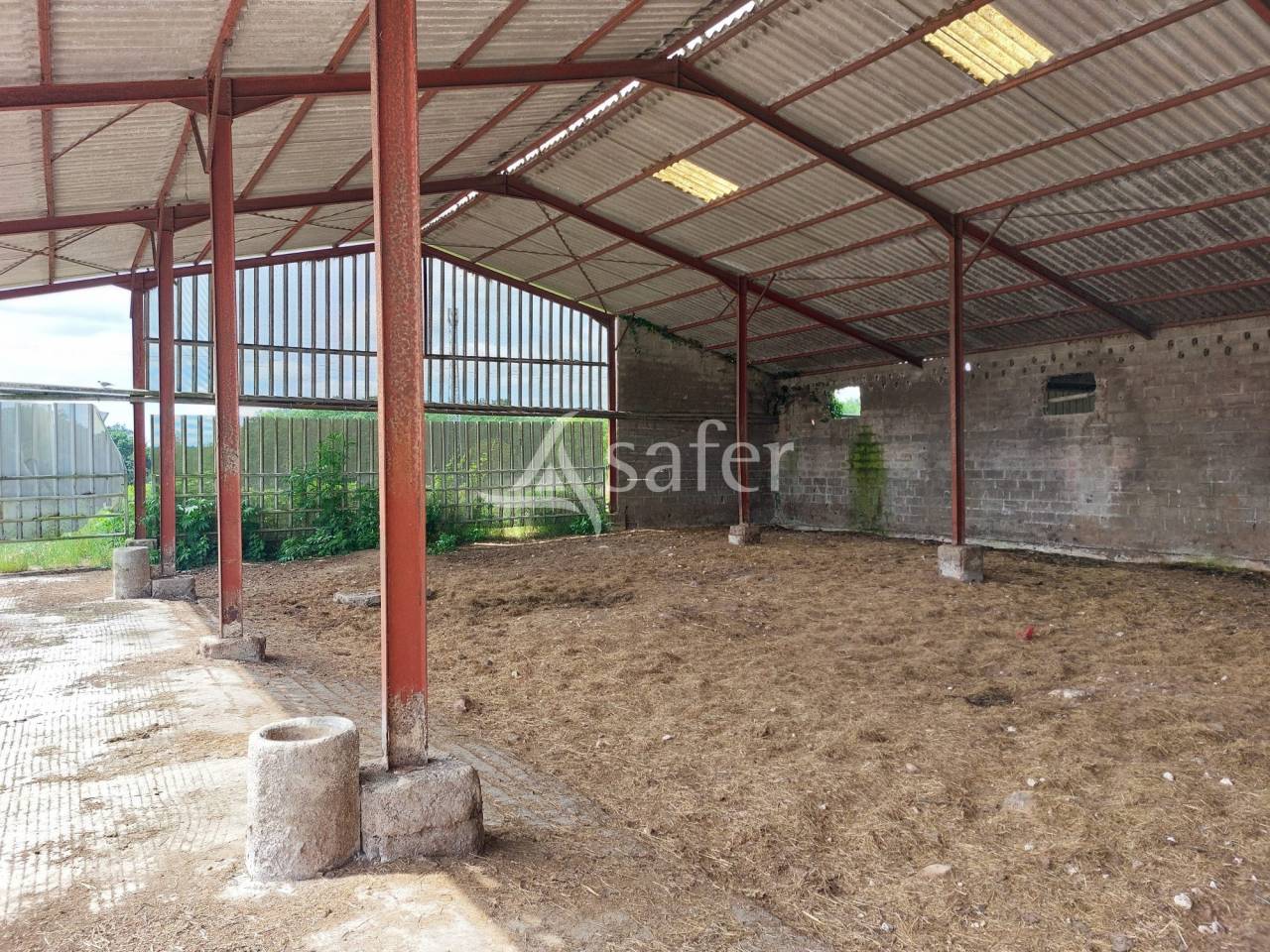 Schapen exploitatie Koop Dordogne