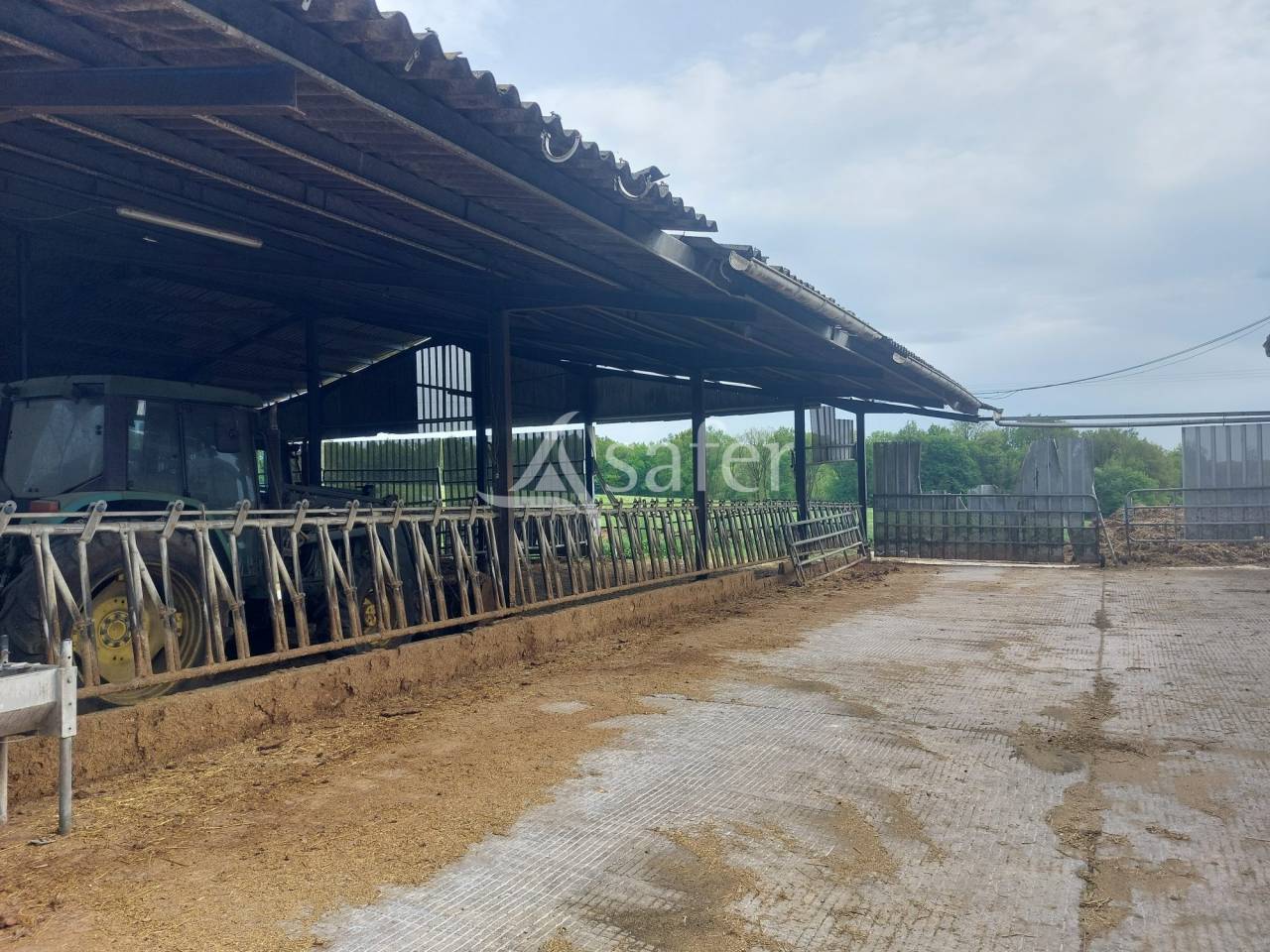 Schapen exploitatie Koop Dordogne