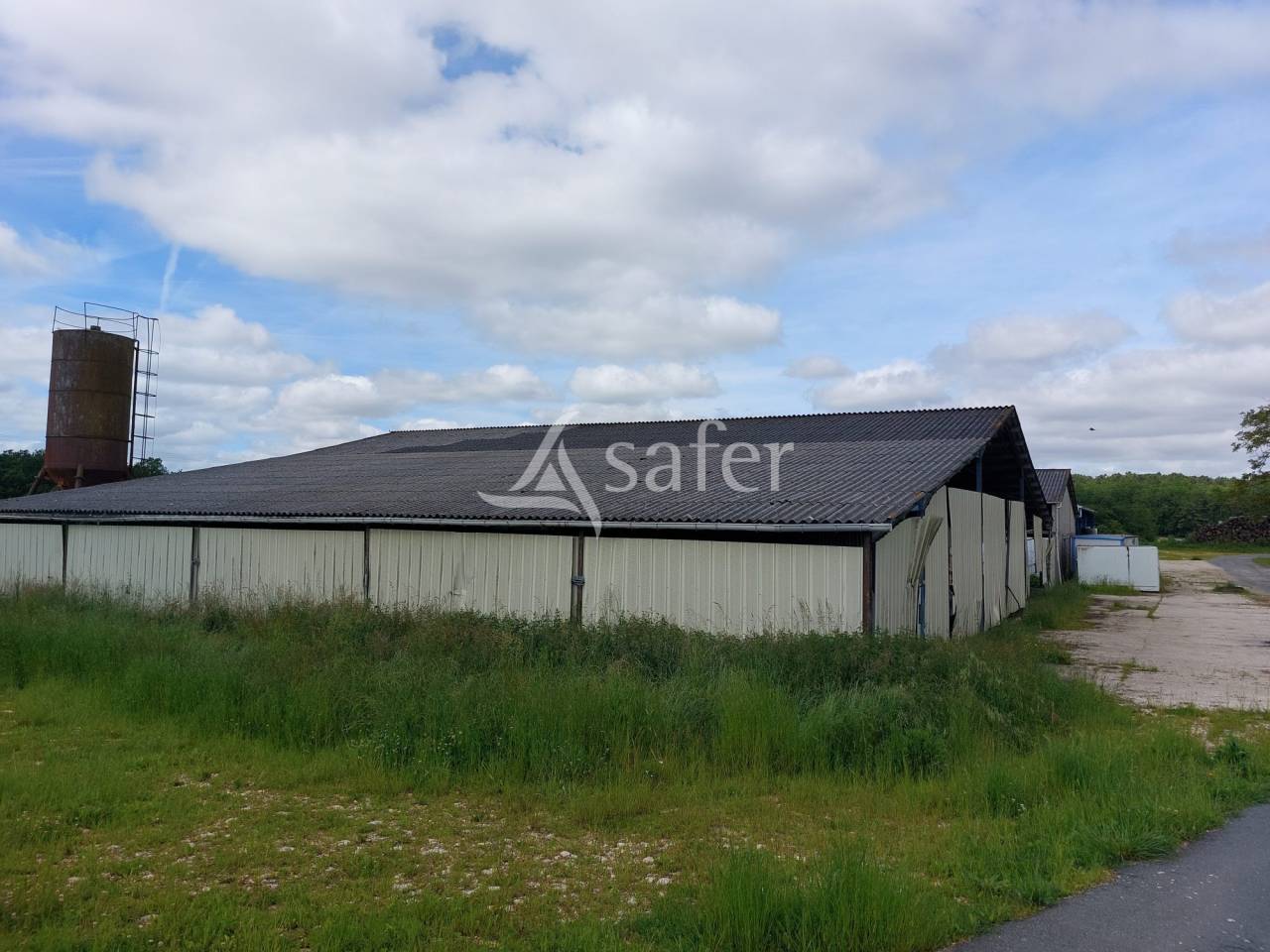 Schapen exploitatie Koop Dordogne