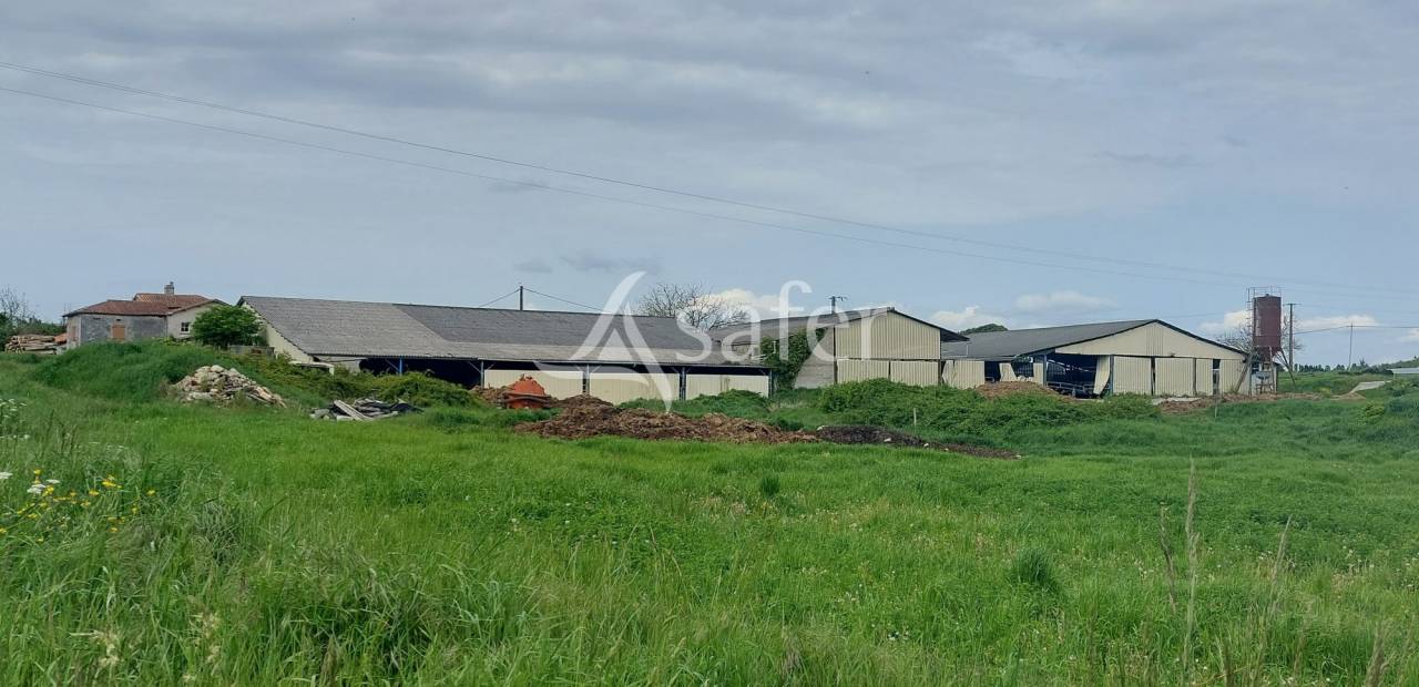 Schapen exploitatie Koop Dordogne