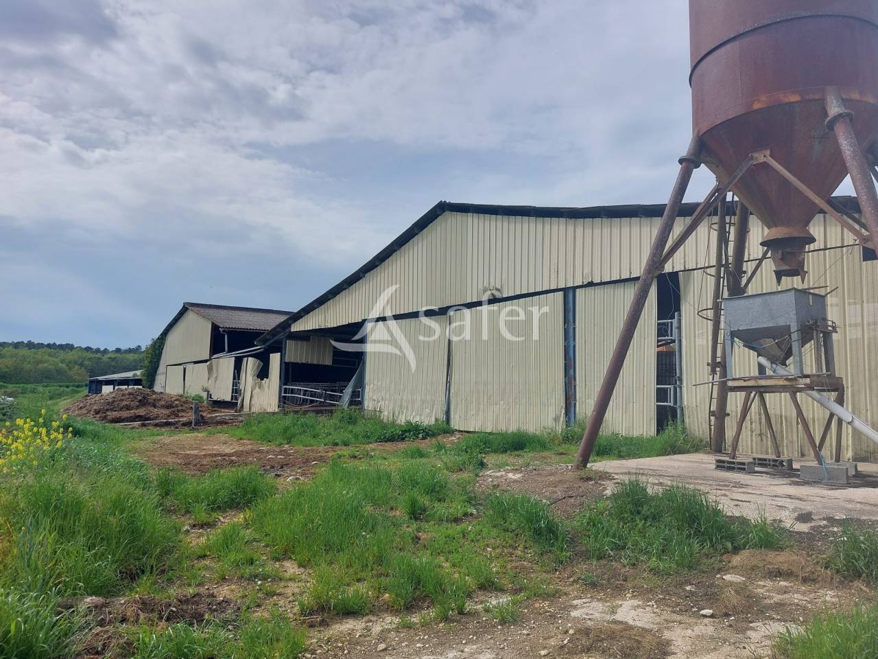 Schapen exploitatie Koop Dordogne