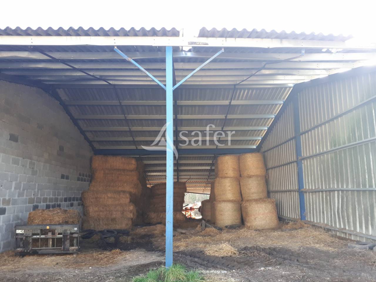 Schapen exploitatie Koop Dordogne