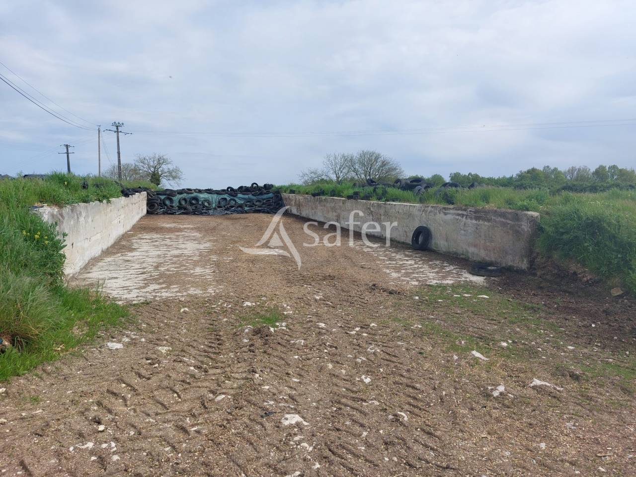 Schapen exploitatie Koop Dordogne