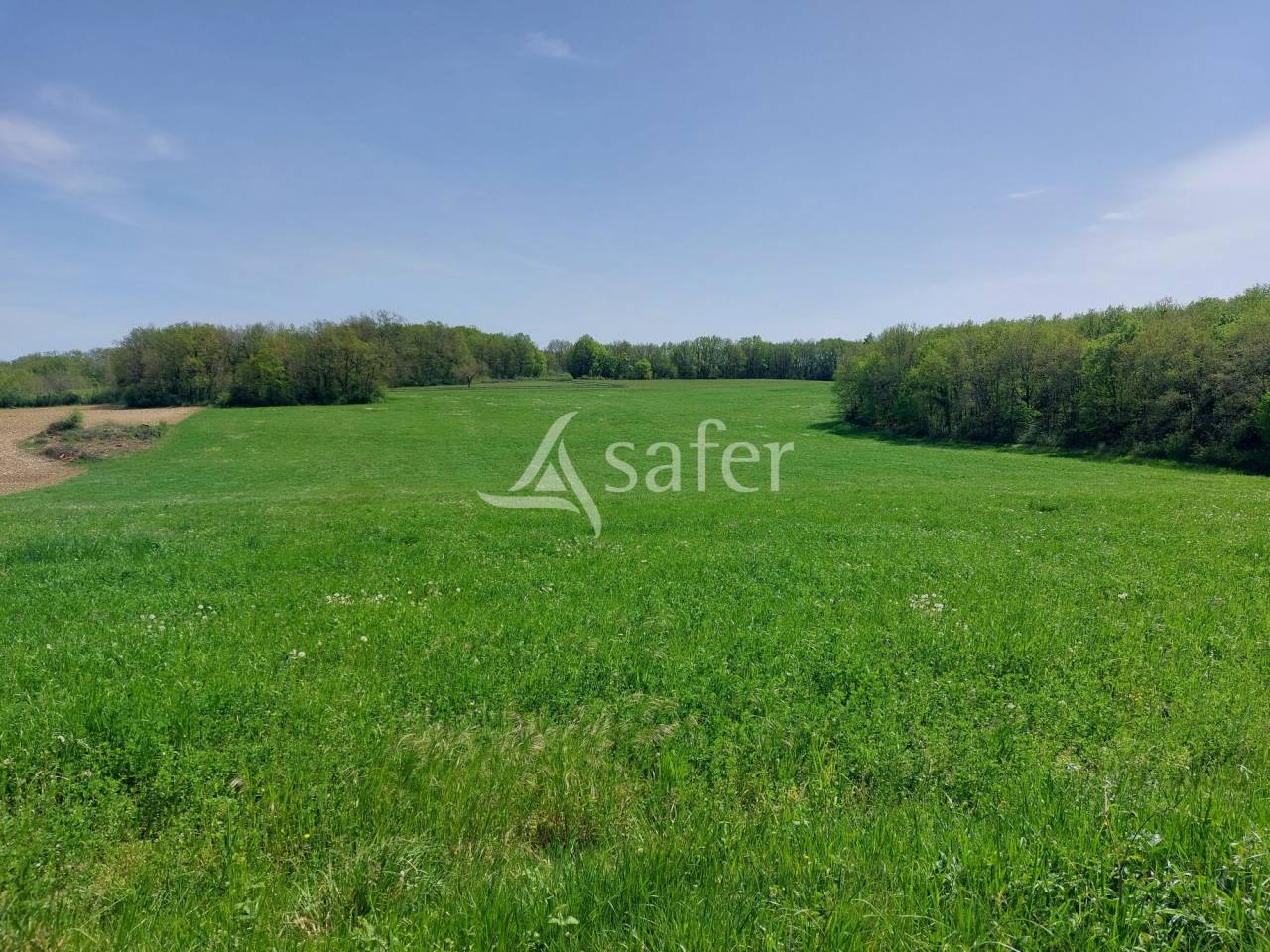 Schapen exploitatie Koop Dordogne