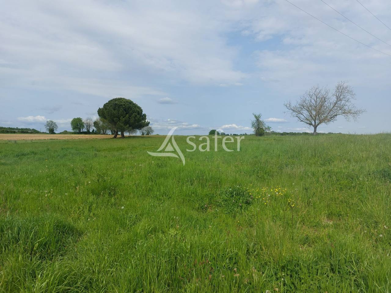 Schapen exploitatie Koop Dordogne