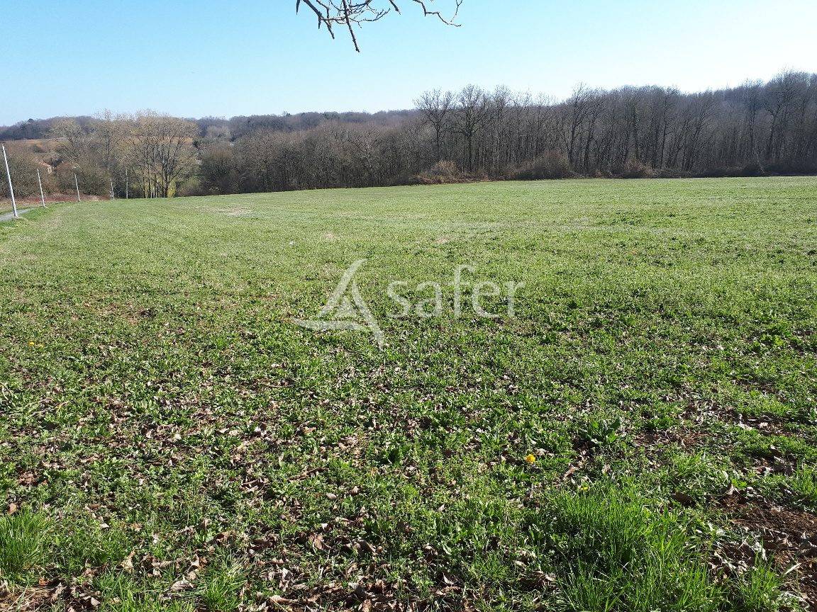 Schapen exploitatie Koop Dordogne