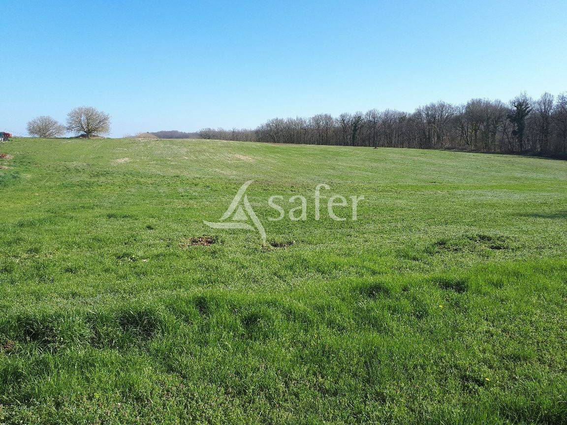 Schapen exploitatie Koop Dordogne