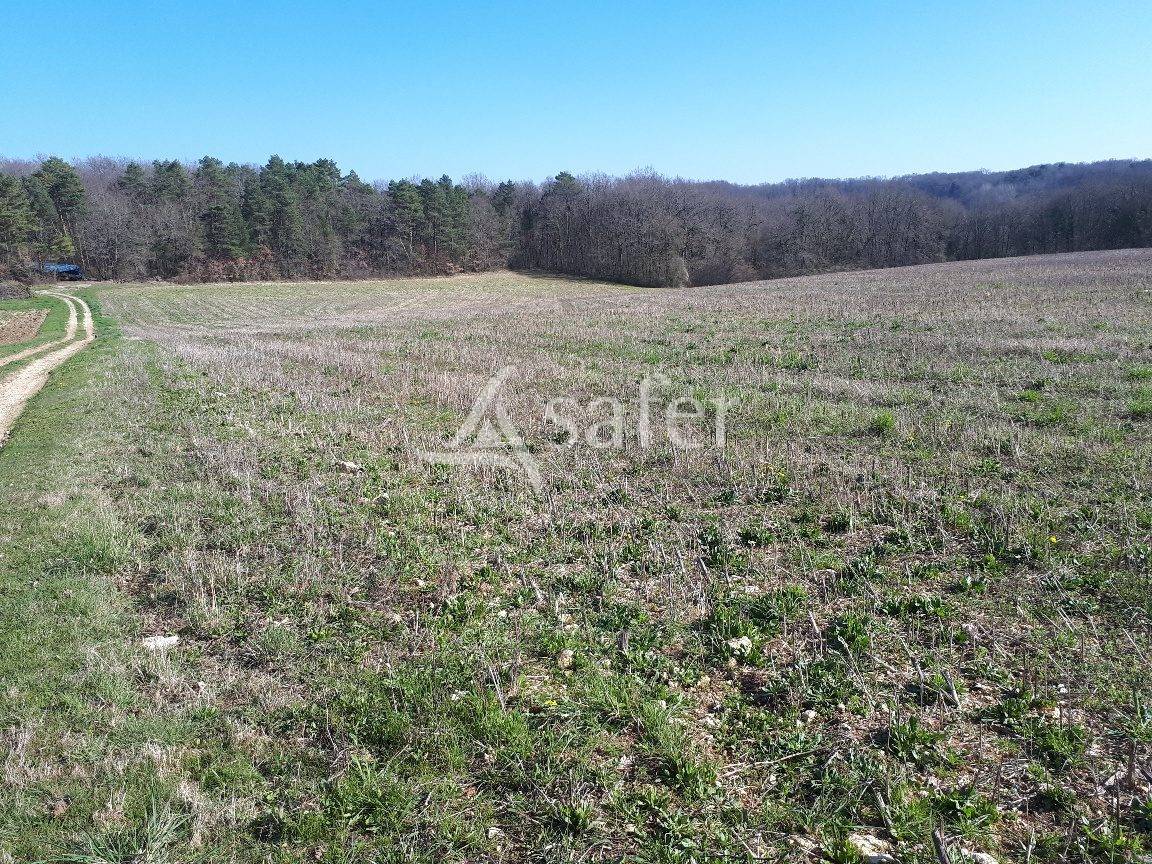 Schapen exploitatie Koop Dordogne