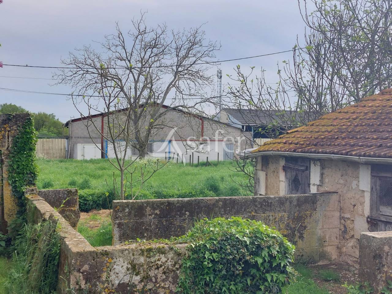 Schapen exploitatie Koop Dordogne