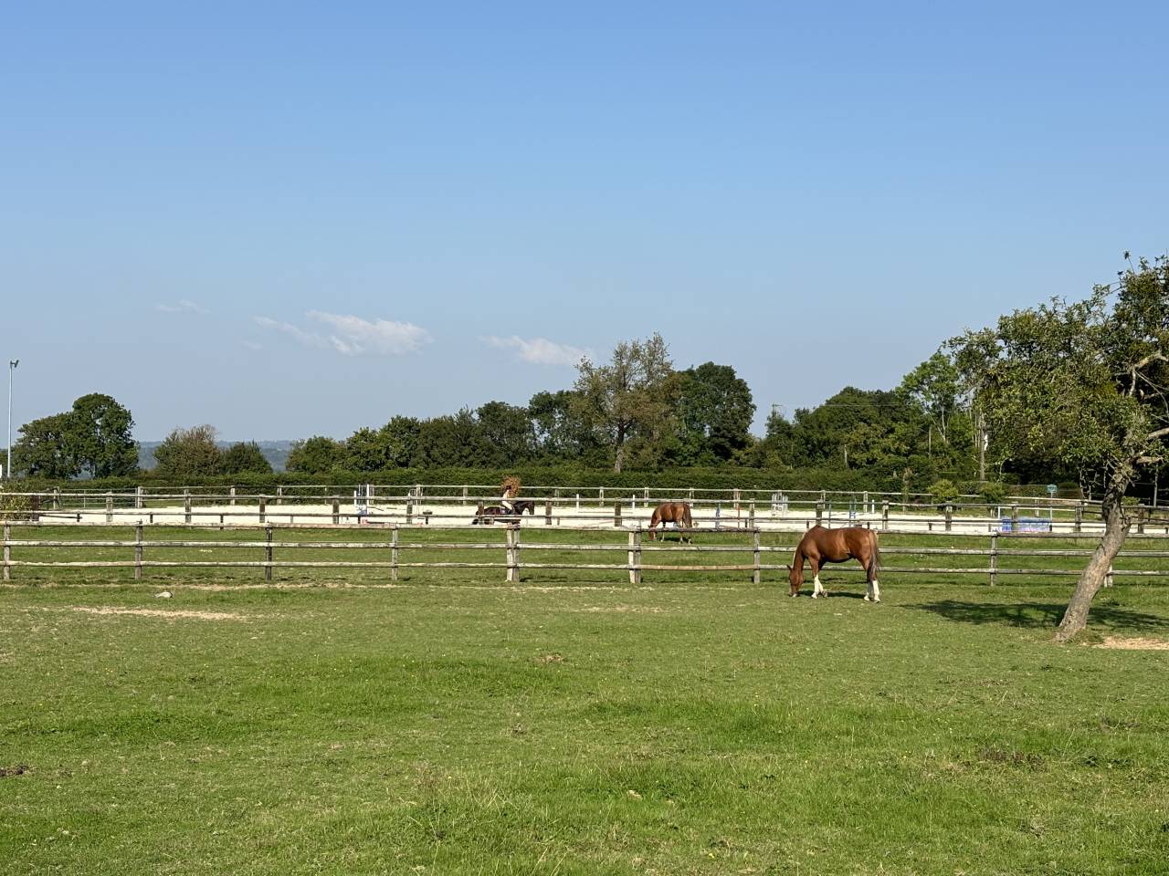 Stoeterij Koop Calvados