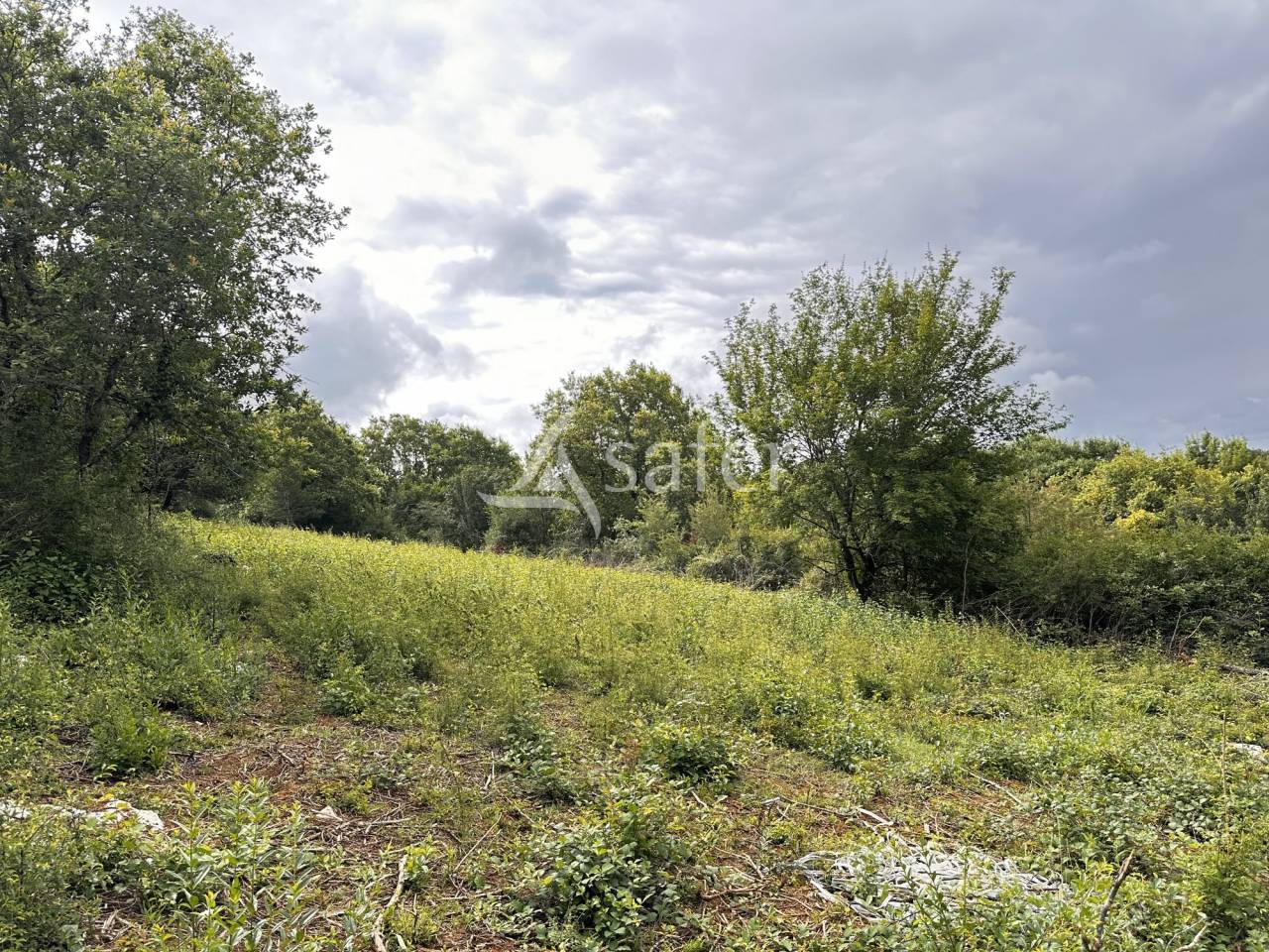 Ander plattelands vastgoed Koop Charente