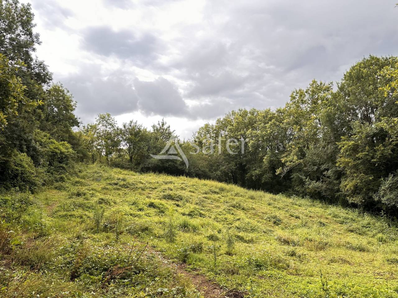 Ander plattelands vastgoed Koop Charente