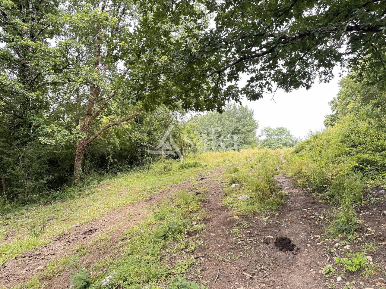 Ander plattelands vastgoed Koop Charente