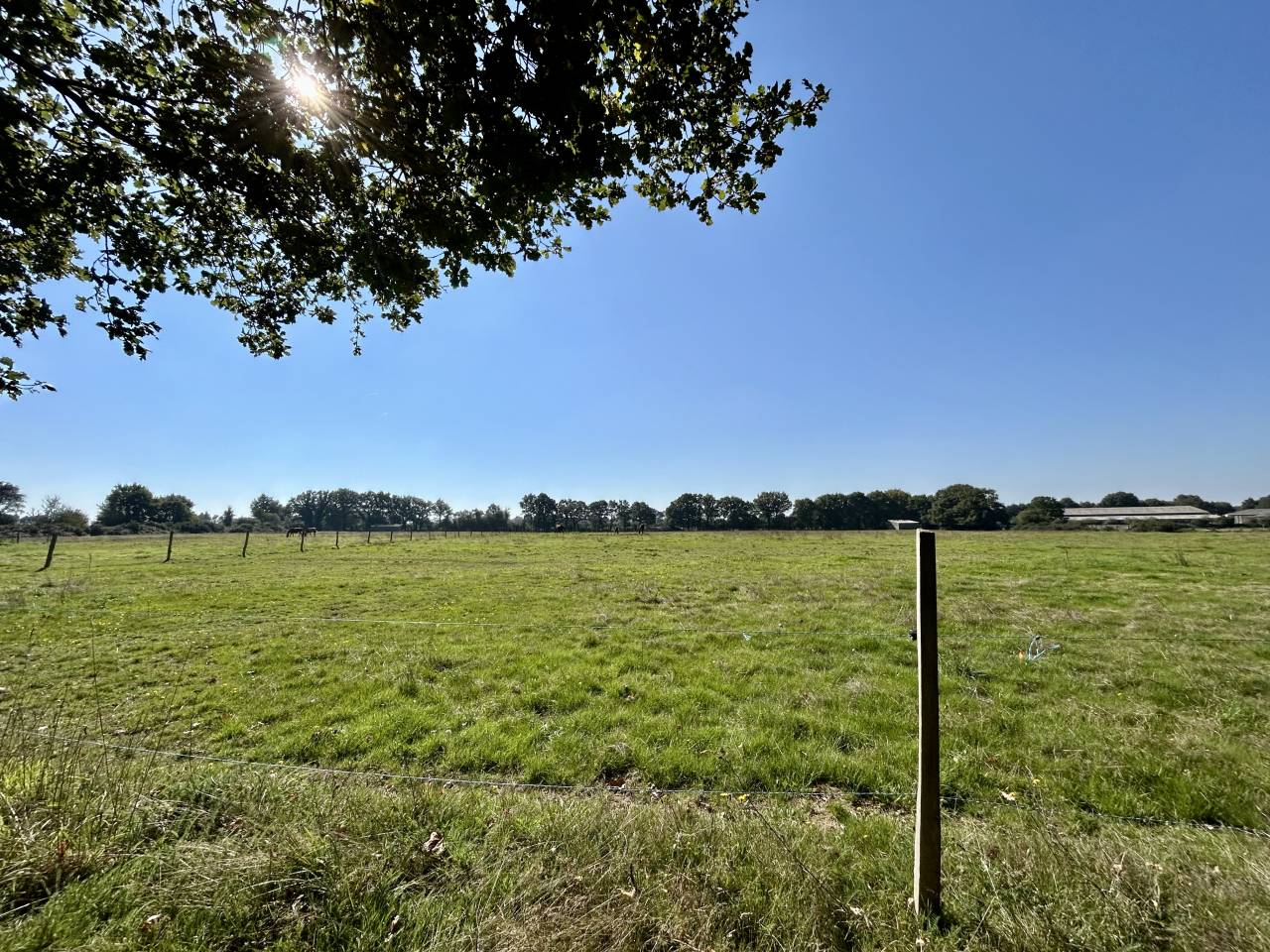 Eigenaren stal Koop Loire-Atlantique