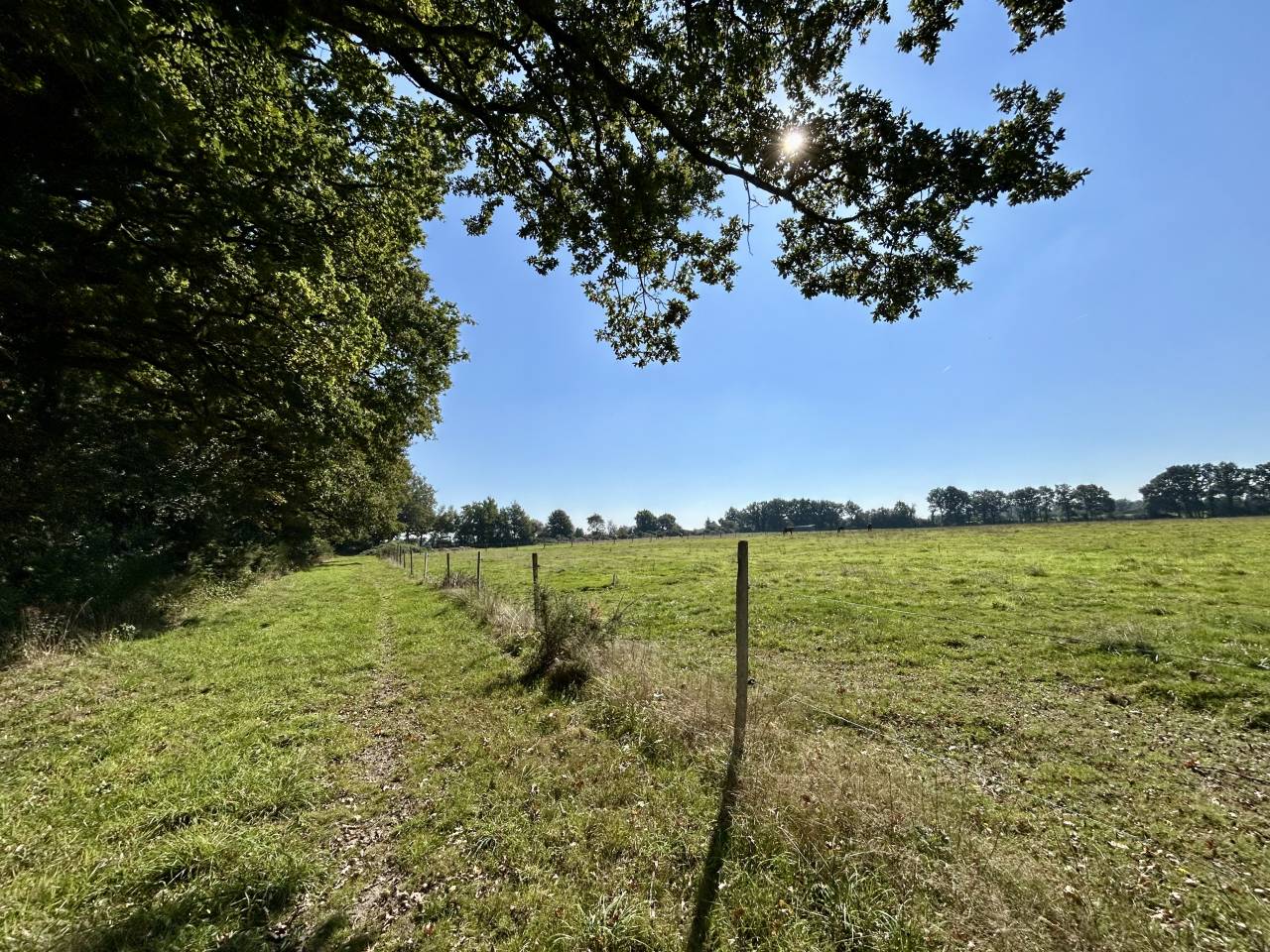 Eigenaren stal Koop Loire-Atlantique