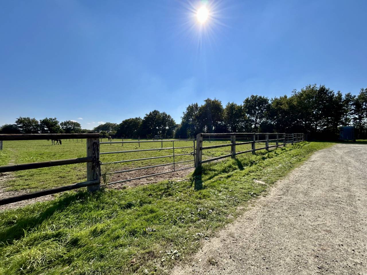 Eigenaren stal Koop Loire-Atlantique