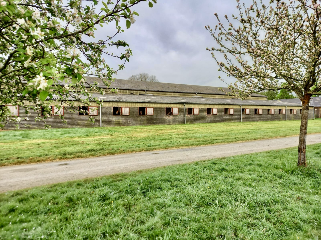 Eigenaren stal Koop Loire-Atlantique