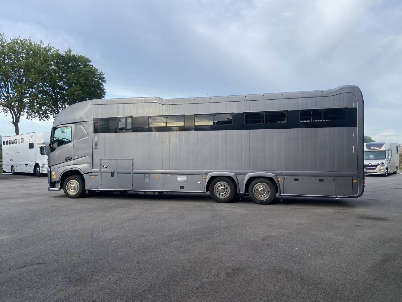 Zware paardenvrachtwagen (groot rijbewijs) STX  2015 Tweedehands