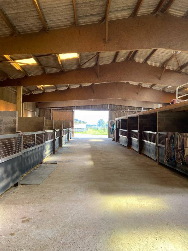 Hippisch vastgoed Koop Calvados