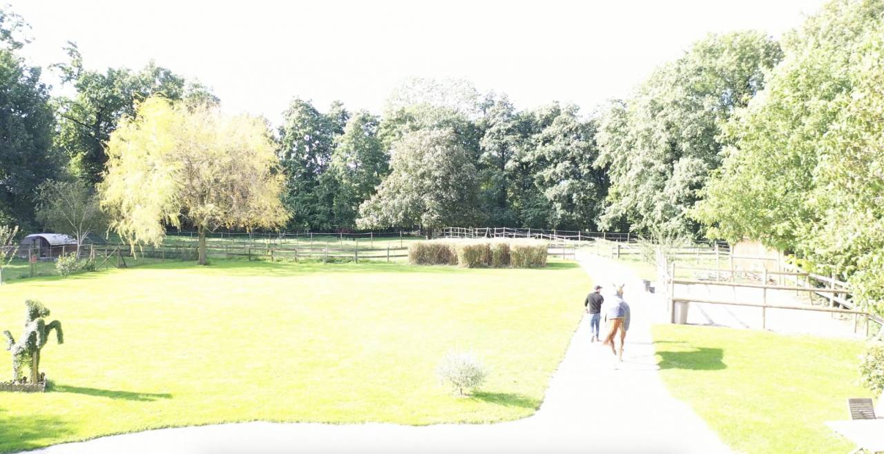 Hippisch vastgoed Koop Ain