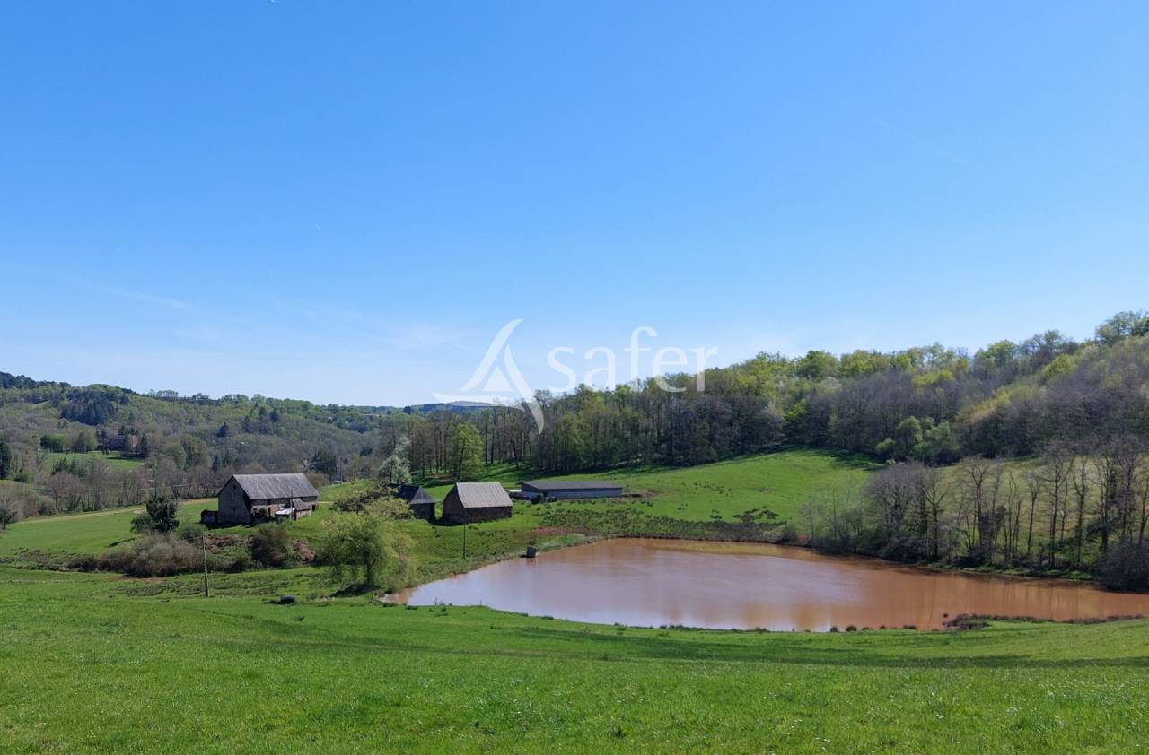 Schapen exploitatie Koop Dordogne