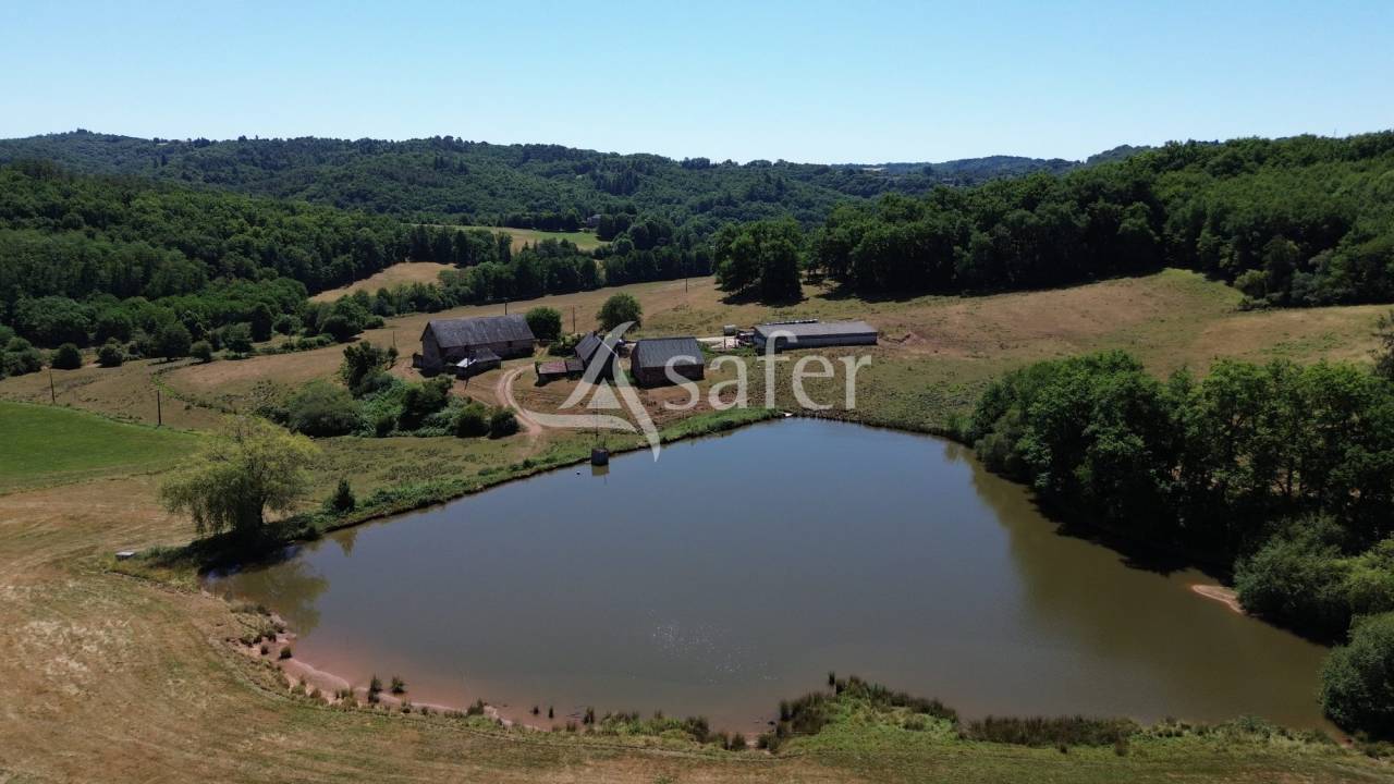 Schapen exploitatie Koop Dordogne