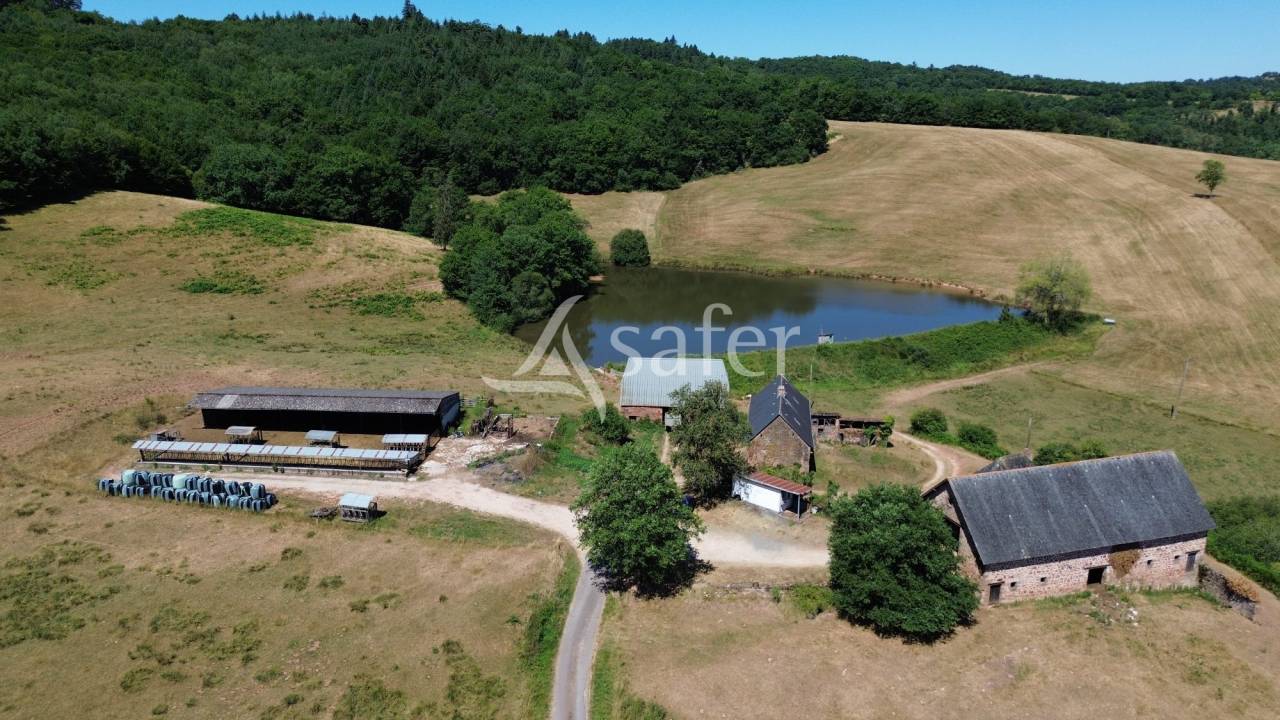 Schapen exploitatie Koop Dordogne