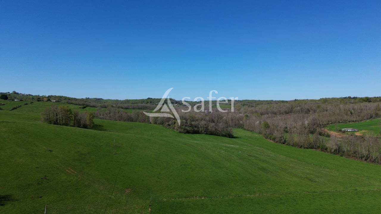 Schapen exploitatie Koop Dordogne