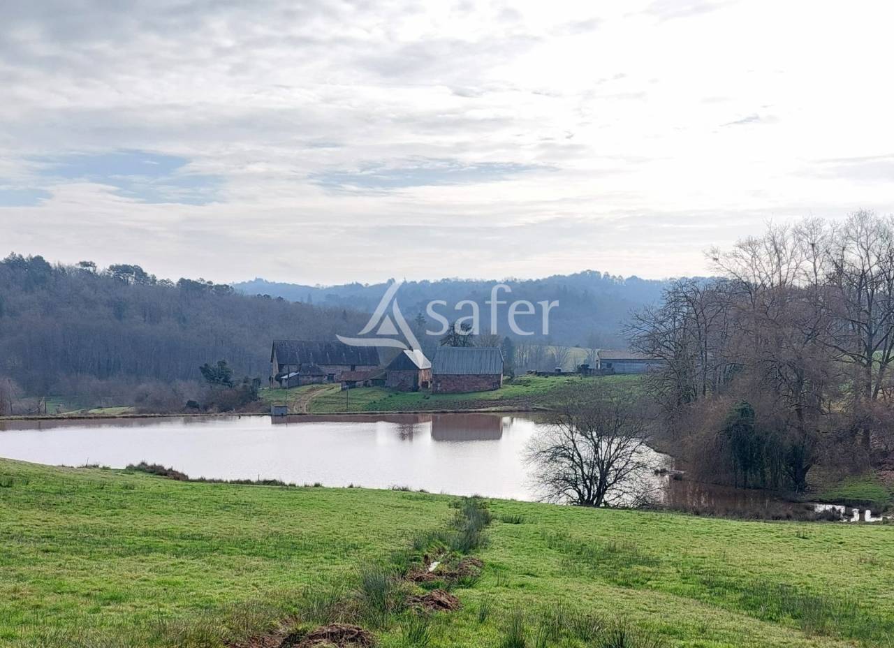 Schapen exploitatie Koop Dordogne