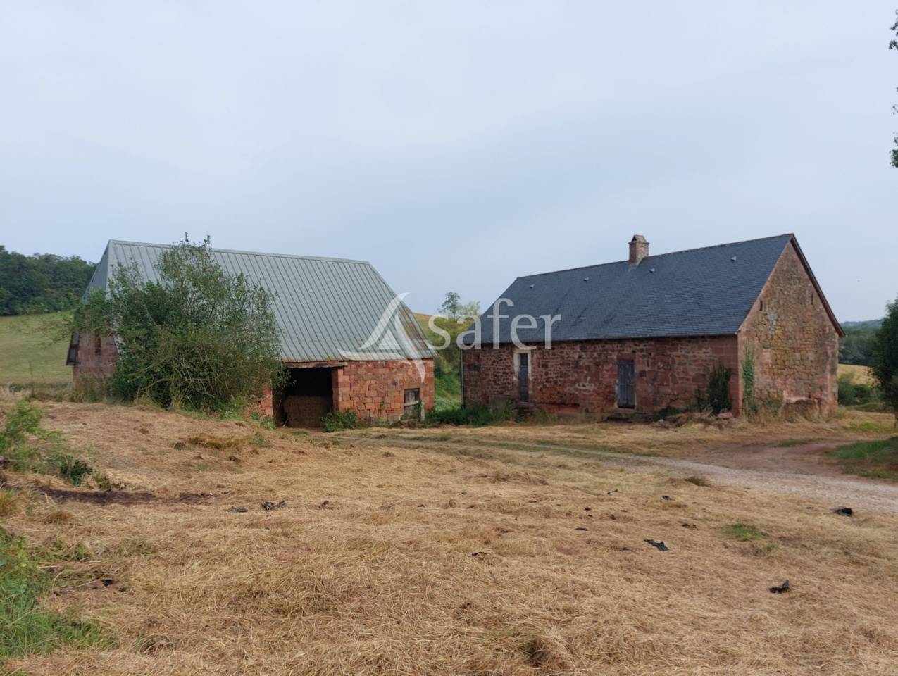 Schapen exploitatie Koop Dordogne