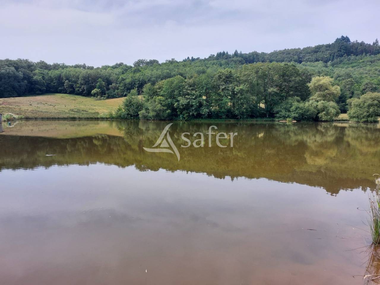 Schapen exploitatie Koop Dordogne