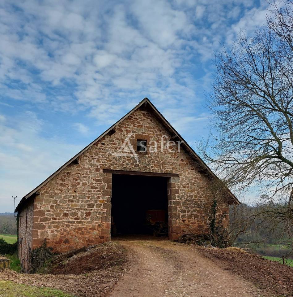 Schapen exploitatie Koop Dordogne