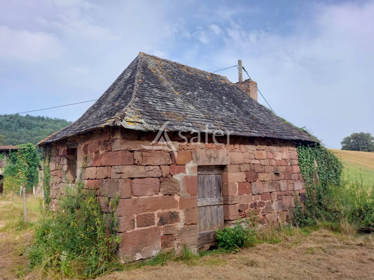 Schapen exploitatie Koop Dordogne