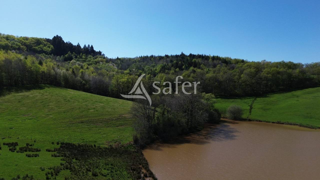 Schapen exploitatie Koop Dordogne