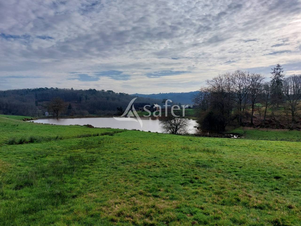 Schapen exploitatie Koop Dordogne