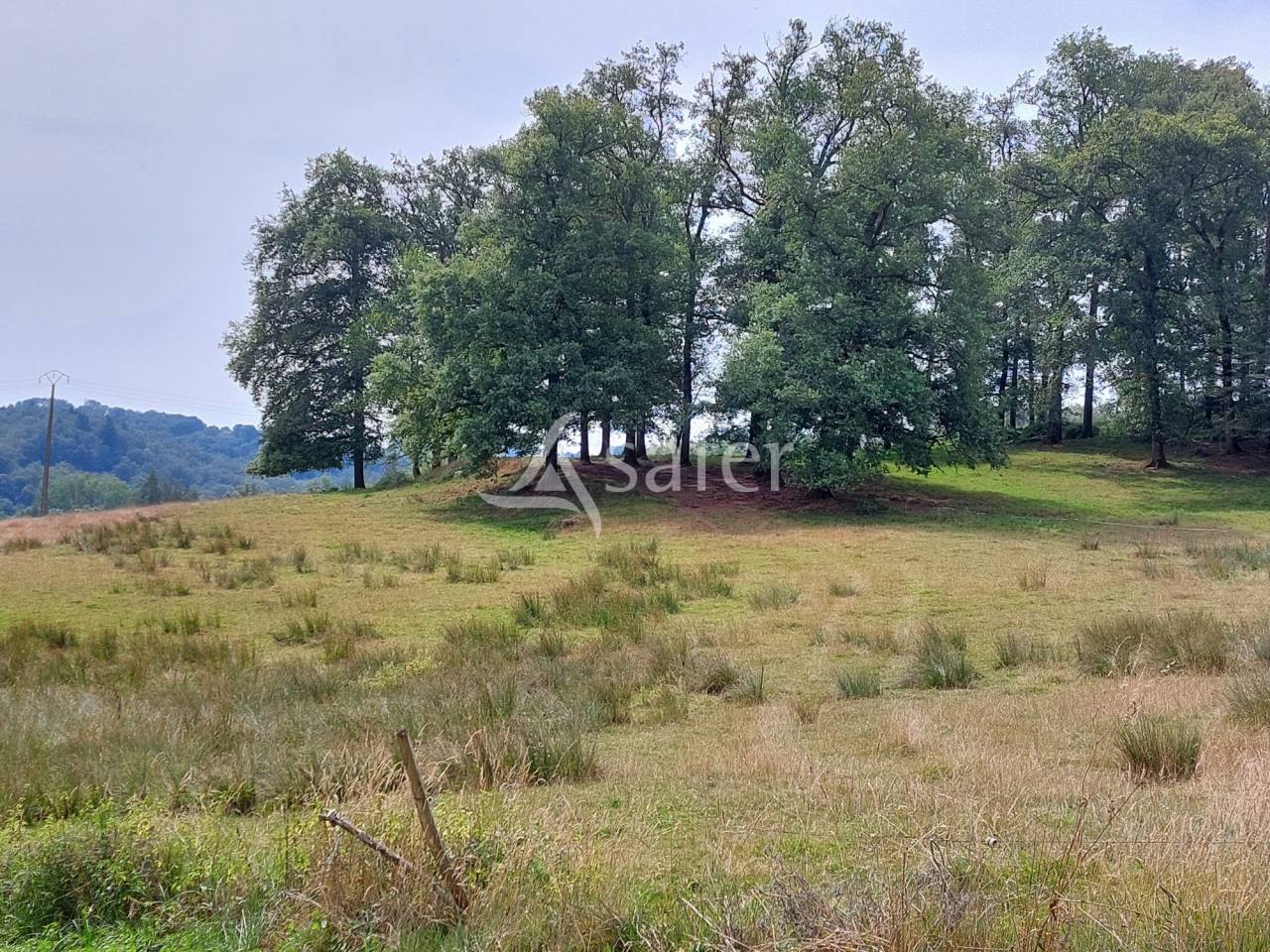 Schapen exploitatie Koop Dordogne