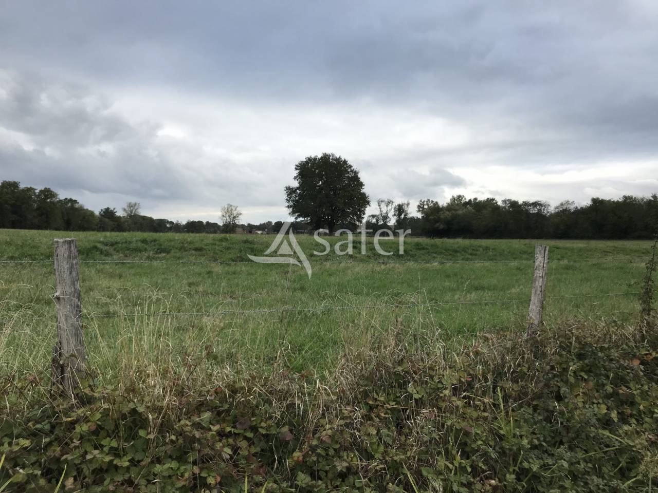 Landbouw bedrijf Koop Ain