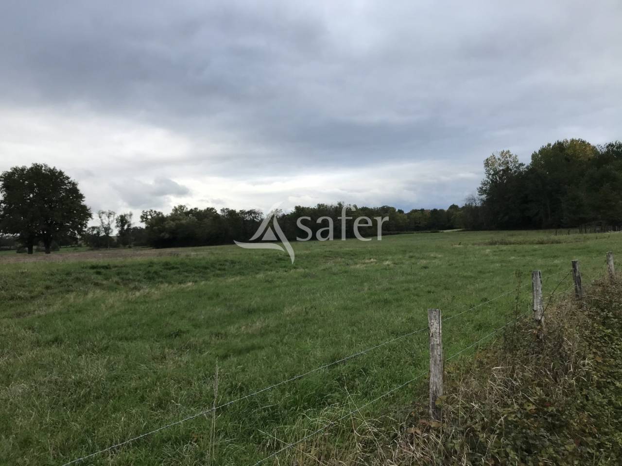 Landbouw bedrijf Koop Ain