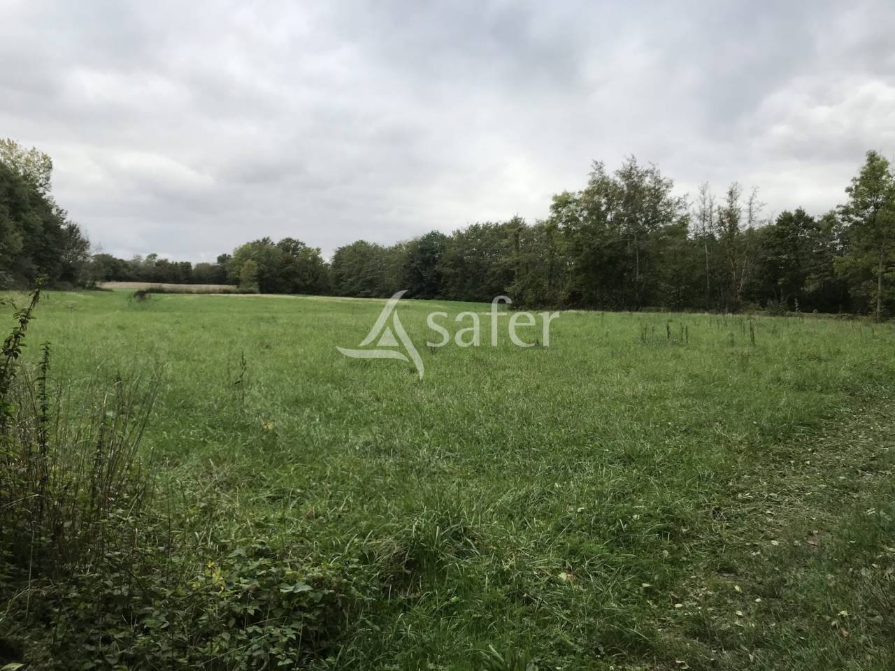 Landbouw bedrijf Koop Ain