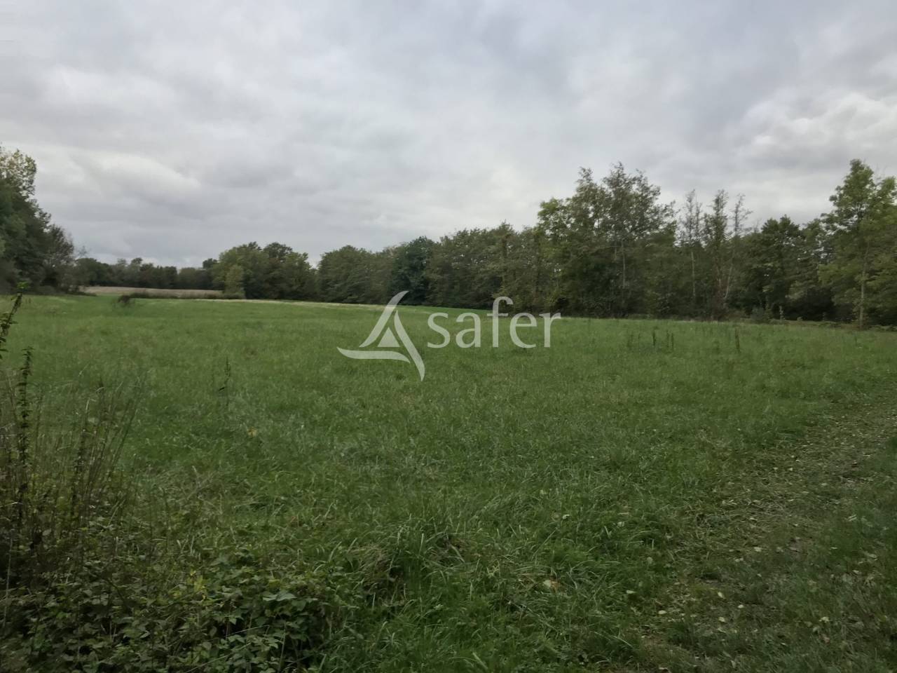 Landbouw bedrijf Koop Ain